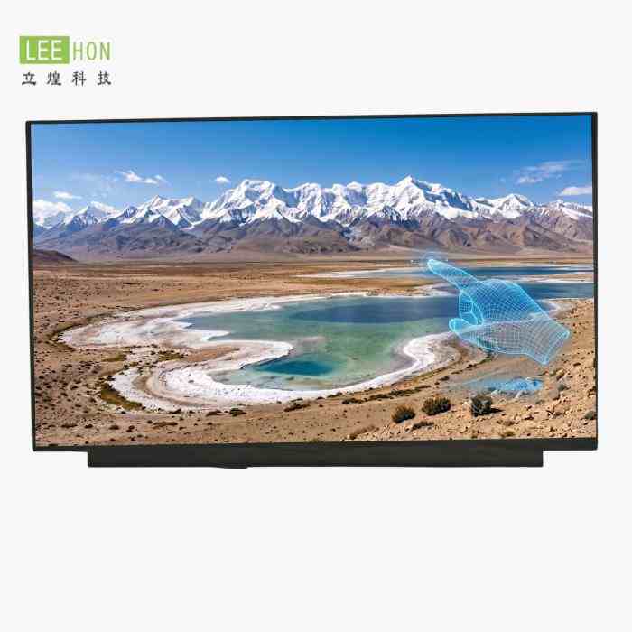 NV156FHM-T01